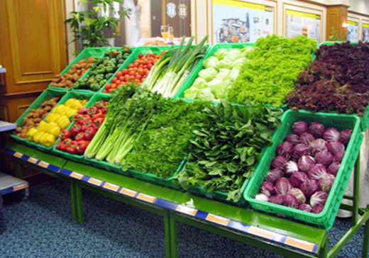 ho so cap gp vs attp binh dinh